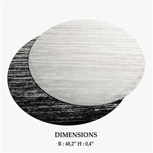 ALLMODERN Rugs_277
